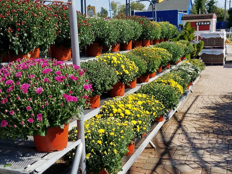 Meldrum Bros. Nursery & Supply PLants Flowers New Baltimore, MI 48047
