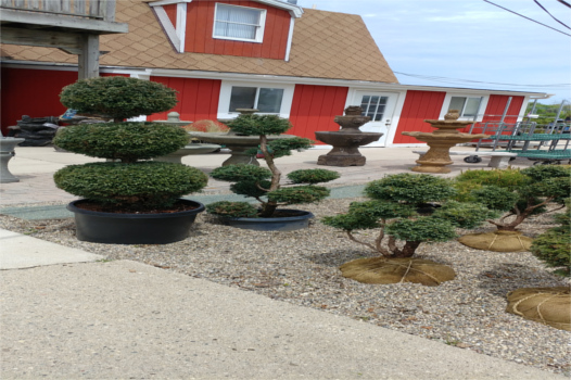 Meldrum Bros. Nursery & Supply PLants Flowers New Baltimore, MI 48047