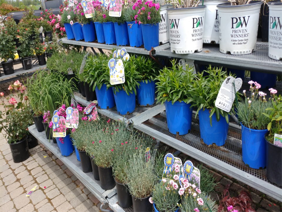 Meldrum Bros. Nursery & Supply PLants Flowers New Baltimore, MI 48047