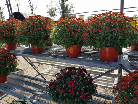 Meldrum Bros. Nursery & Supply PLants Flowers New Baltimore, MI 48047