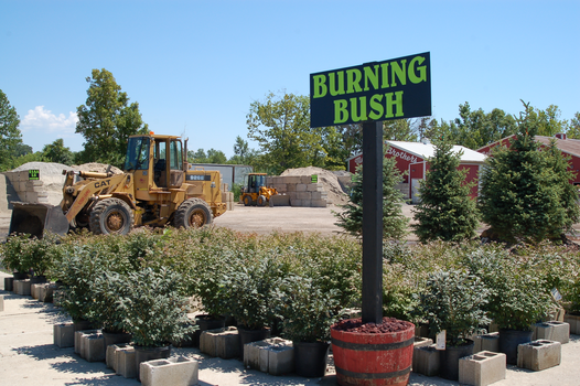 Meldrum Bros. Nursery & Supply PLants Flowers New Baltimore, MI 48047