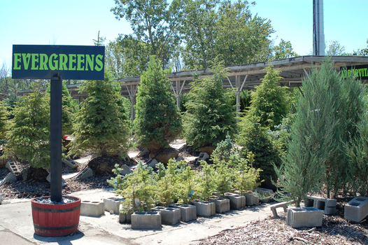 Meldrum Bros. Nursery & Supply PLants Flowers New Baltimore, MI 48047