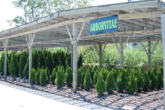 Meldrum Bros. Nursery & Supply PLants Flowers New Baltimore, MI 48047